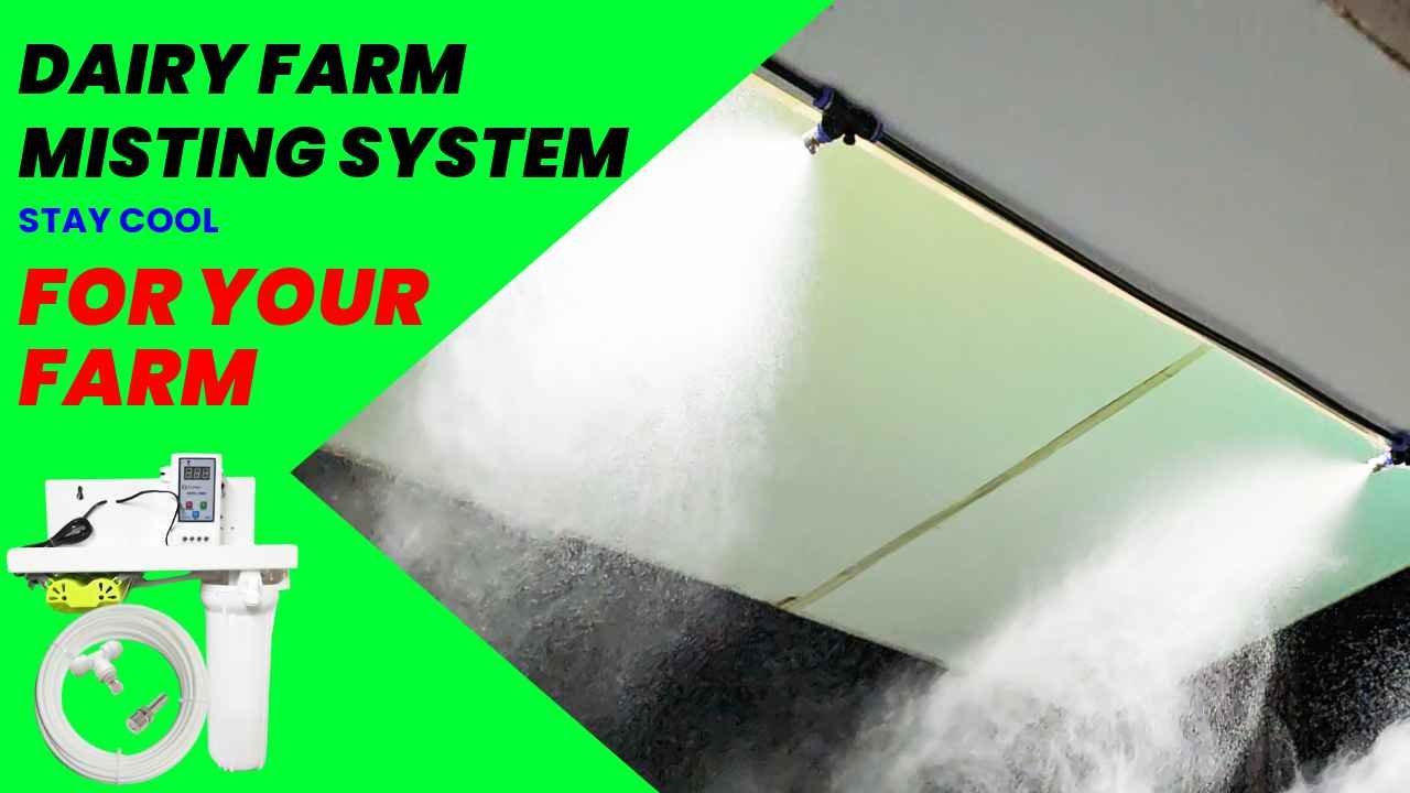 FOGGER SYSTEM